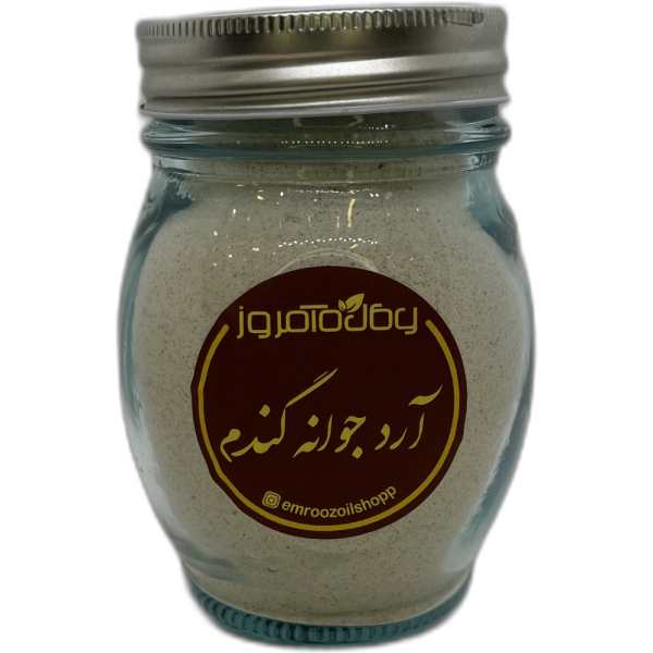 آرد جوانه گندم